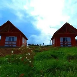https://magia-da-geada.santa-catarina-brasil.com